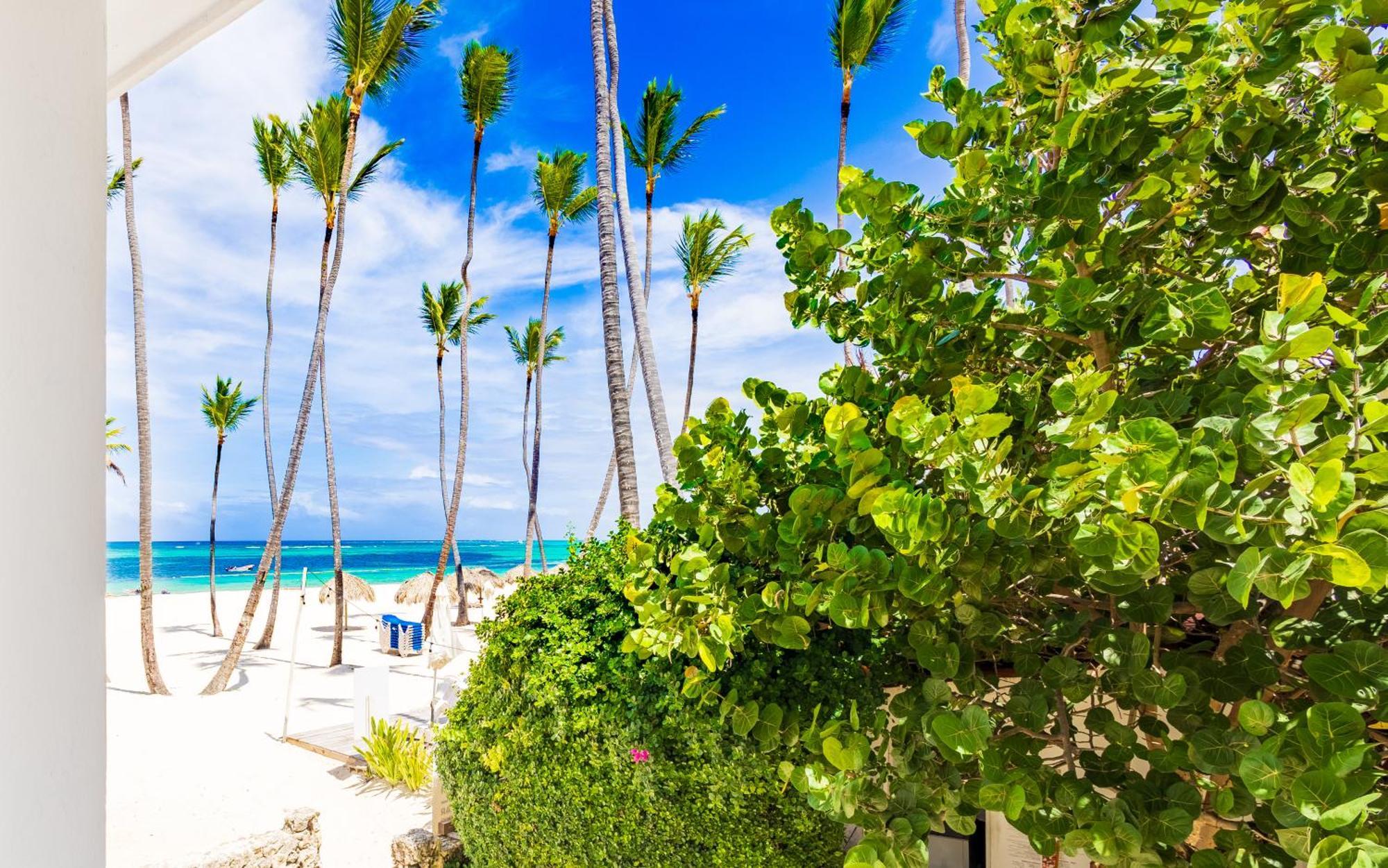 Prime Ocean View Punta Cana Apartments - 3-Bedroom Getaway With Private Terrace On Bavaro Beach Экстерьер фото