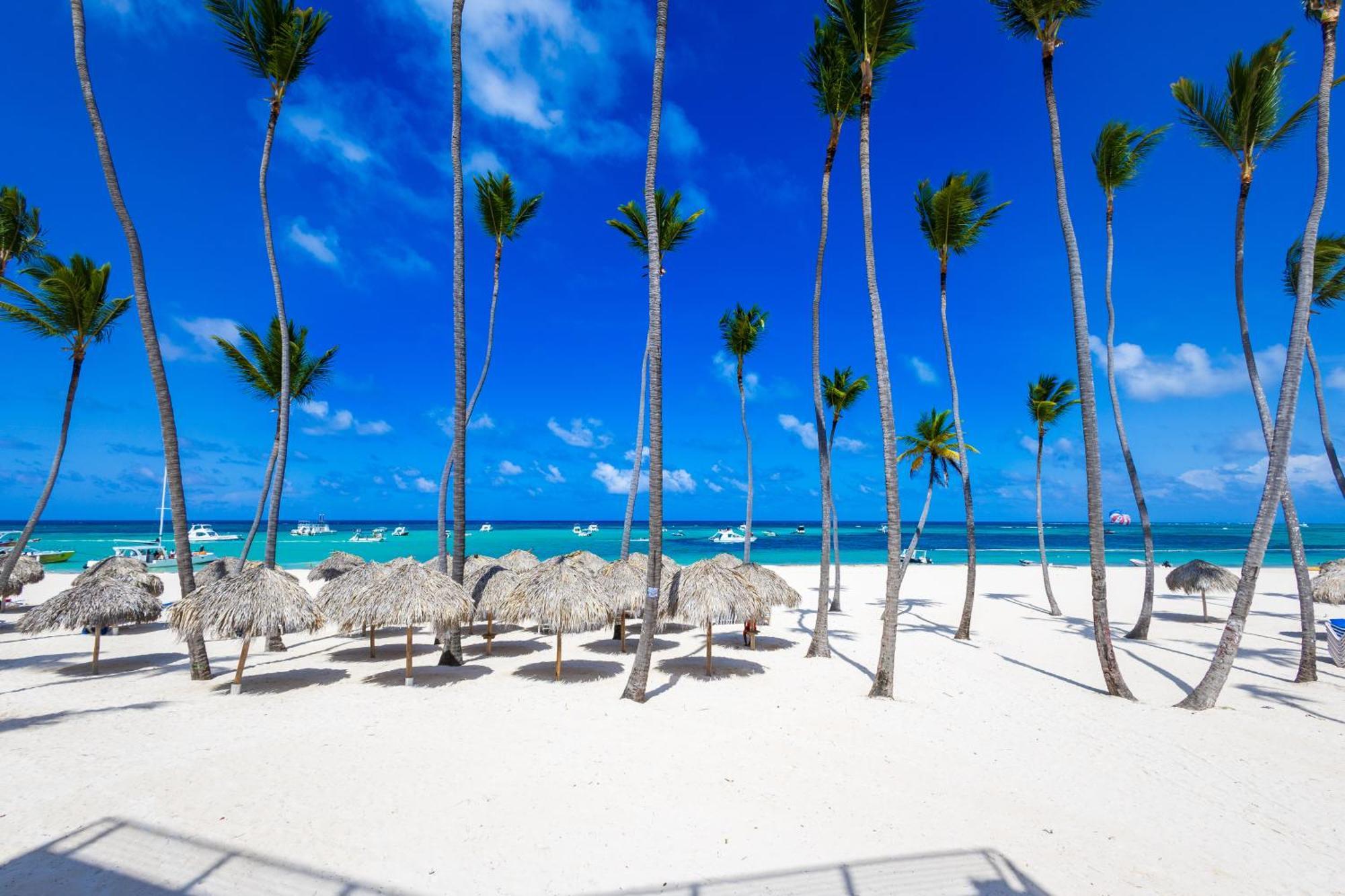 Prime Ocean View Punta Cana Apartments - 3-Bedroom Getaway With Private Terrace On Bavaro Beach Экстерьер фото
